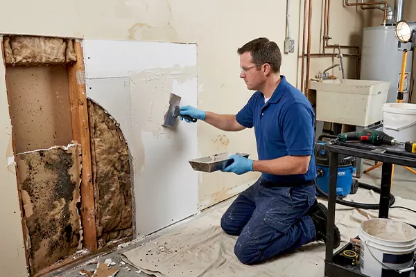 Mold and Drywall Repair Apple Valley