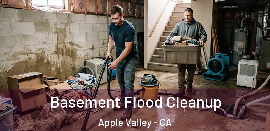  Basement Flood Cleanup Apple Valley - CA