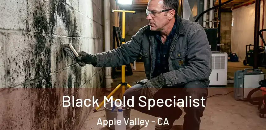 Black Mold Specialist Apple Valley - CA