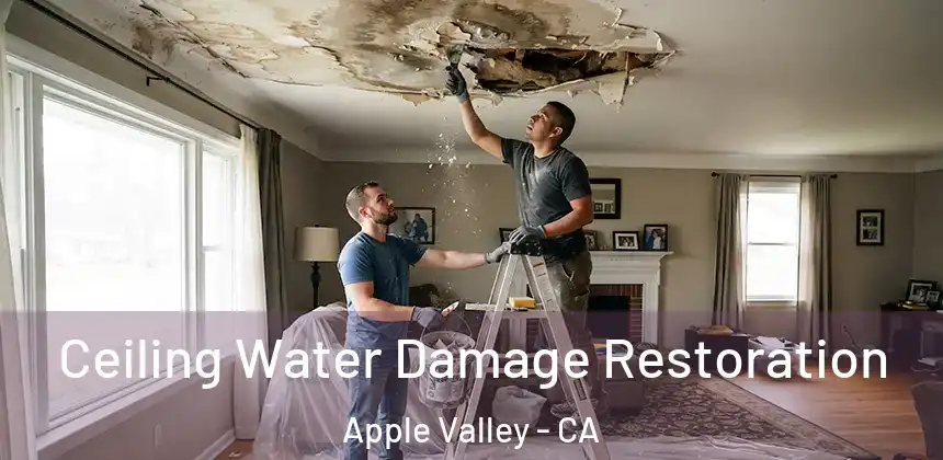 Ceiling Water Damage Restoration Apple Valley - CA
