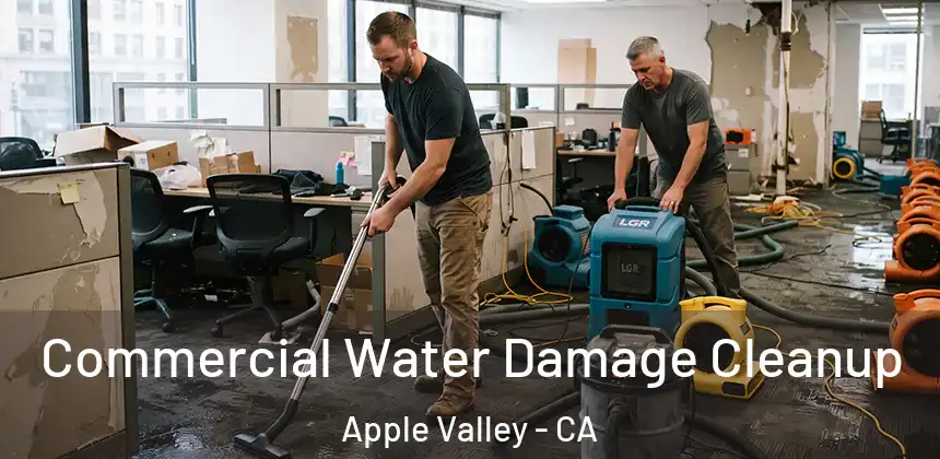  Commercial Water Damage Cleanup Apple Valley - CA