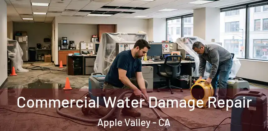  Commercial Water Damage Repair Apple Valley - CA