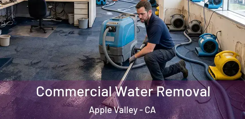  Commercial Water Removal Apple Valley - CA