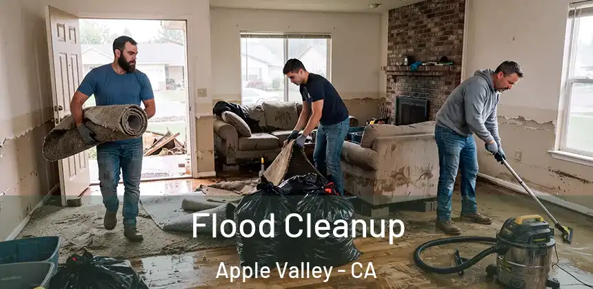  Flood Cleanup Apple Valley - CA