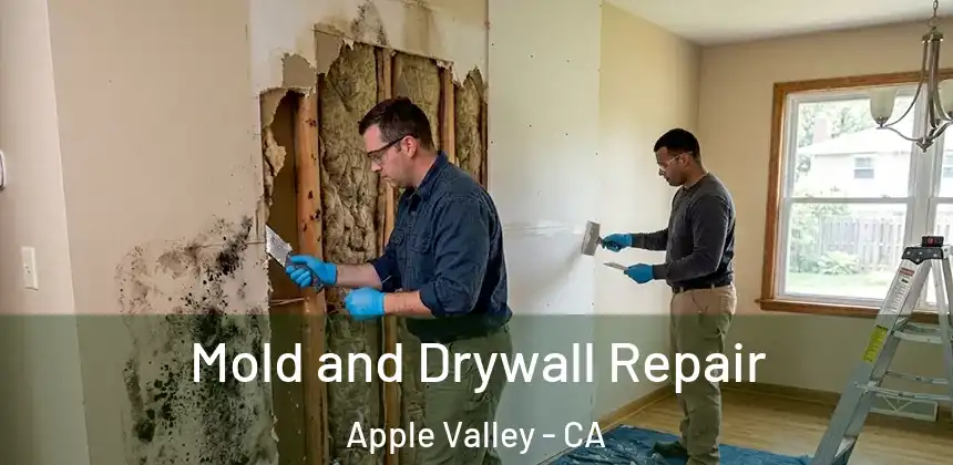  Mold and Drywall Repair Apple Valley - CA