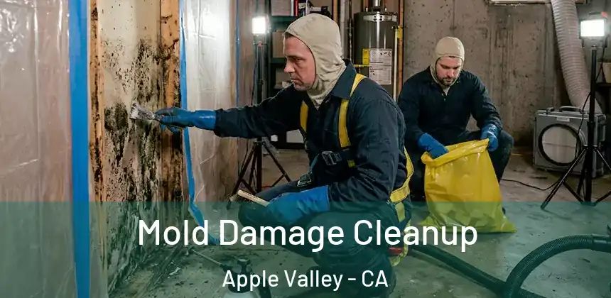  Mold Damage Cleanup Apple Valley - CA