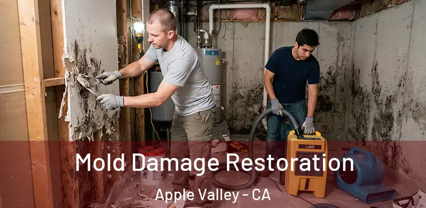  Mold Damage Restoration Apple Valley - CA