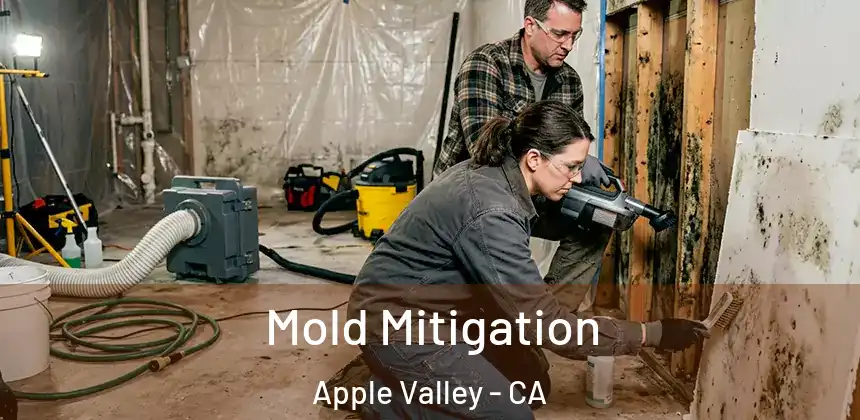  Mold Mitigation Apple Valley - CA