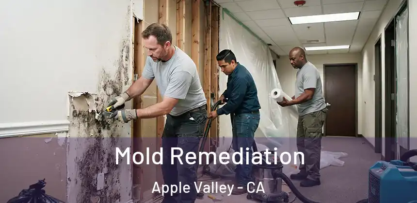  Mold Remediation Apple Valley - CA