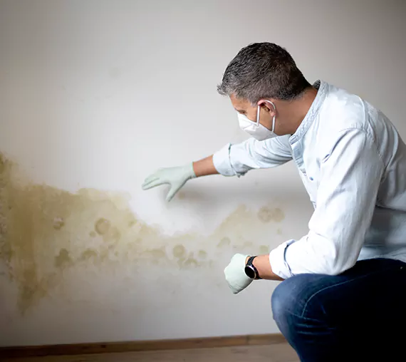 Mold Removal Service in Apple Valley, CA