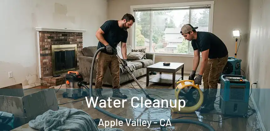  Water Cleanup Apple Valley - CA