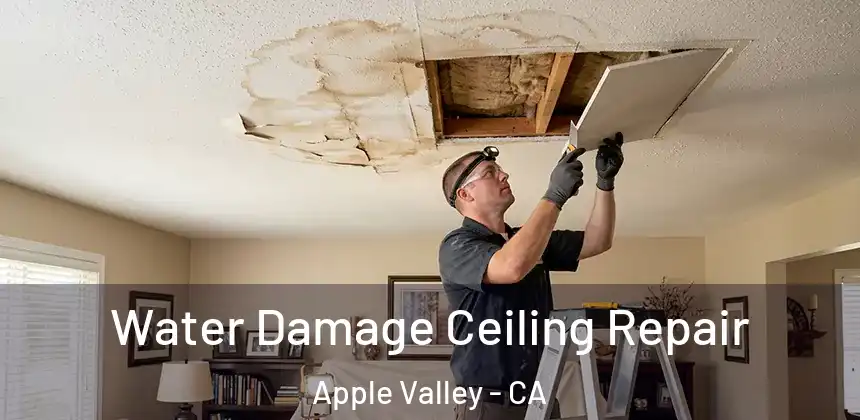 Water Damage Ceiling Repair Apple Valley - CA