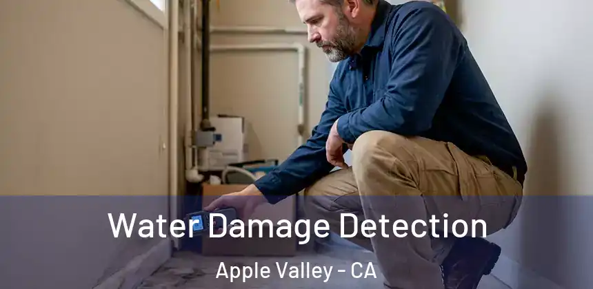  Water Damage Detection Apple Valley - CA