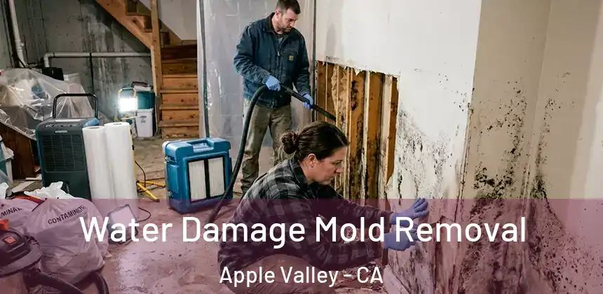  Water Damage Mold Removal Apple Valley - CA