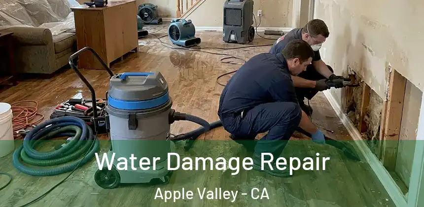 Water Damage Repair Apple Valley - CA