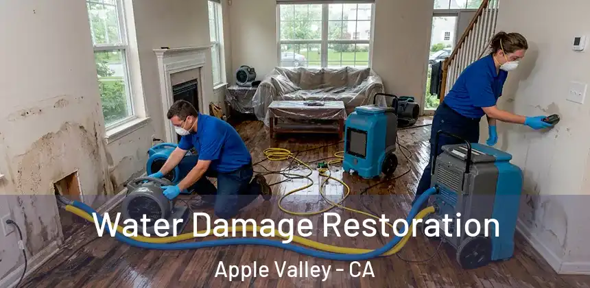  Water Damage Restoration Apple Valley - CA