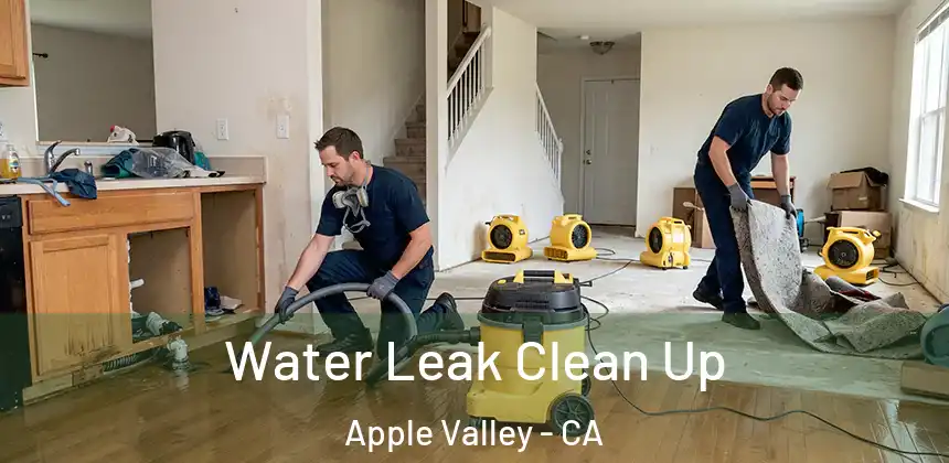  Water Leak Clean Up Apple Valley - CA
