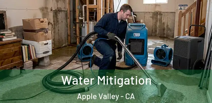  Water Mitigation Apple Valley - CA