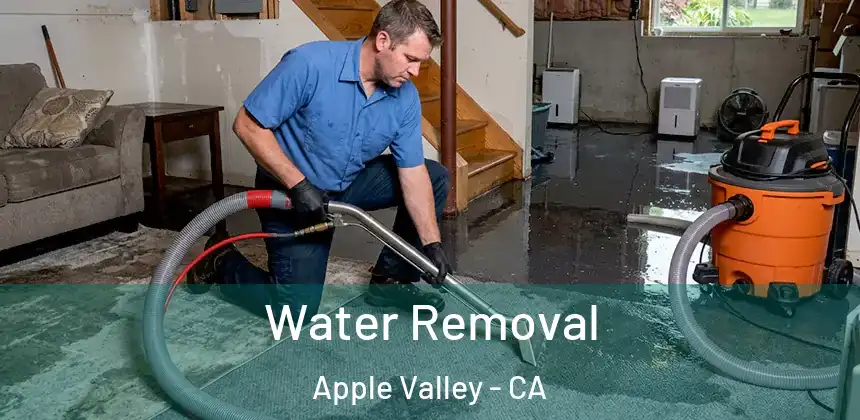  Water Removal Apple Valley - CA